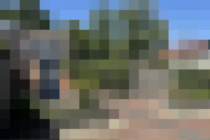Van der Duin van Maasdamlaan 15 Woudenberg thumbnail 30