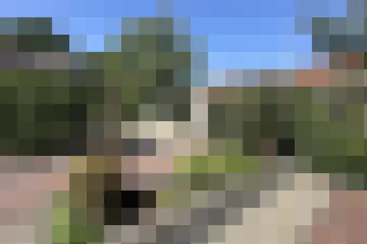 Van der Duin van Maasdamlaan 15 Woudenberg thumbnail 32