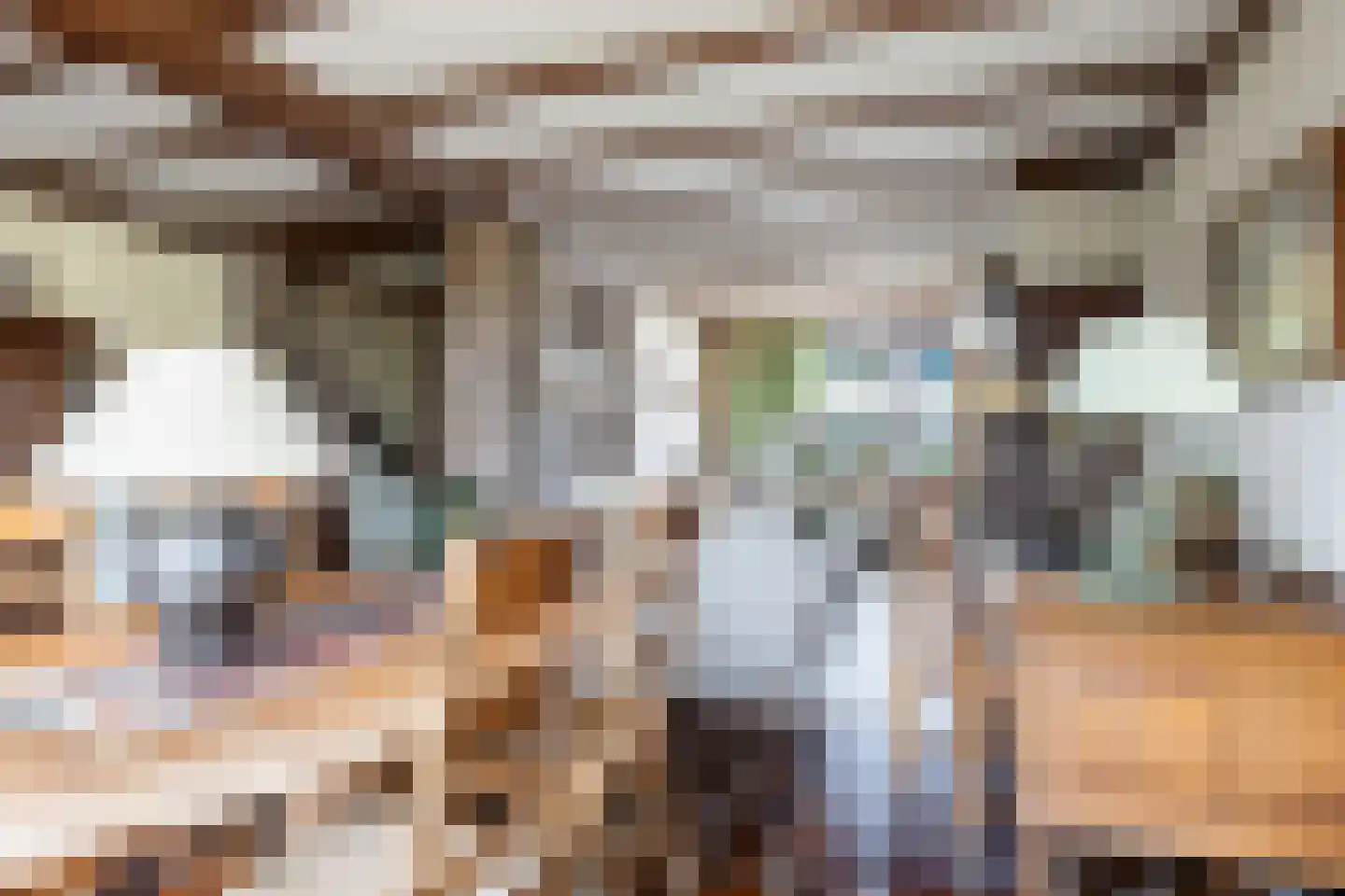 Van der Duin van Maasdamlaan 16 Woudenberg thumbnail 12