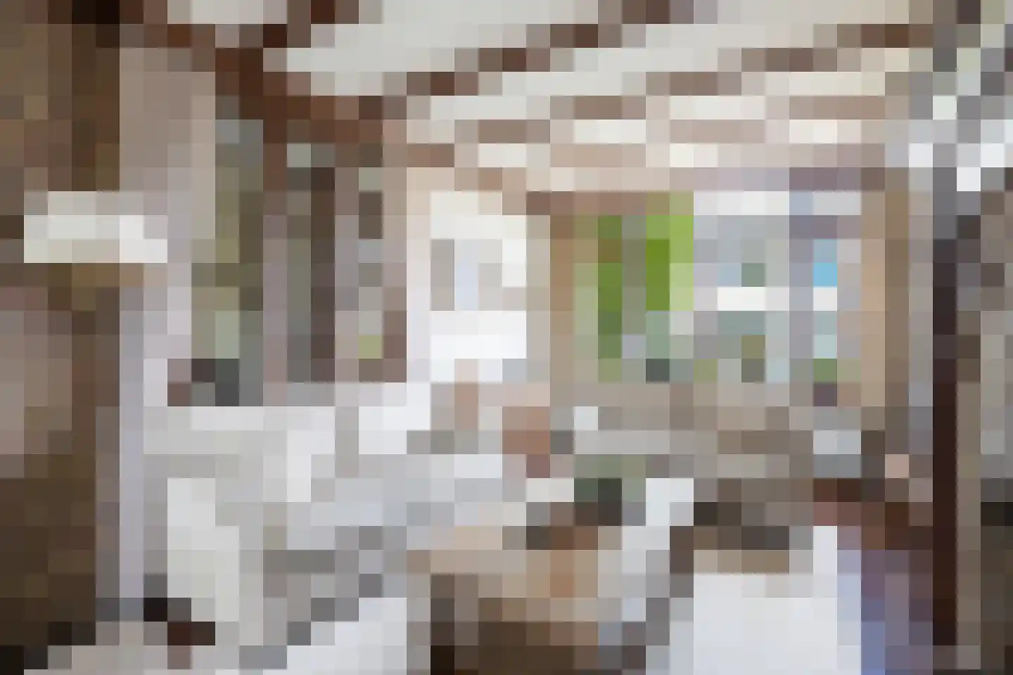 Van der Duin van Maasdamlaan 16 Woudenberg thumbnail 13