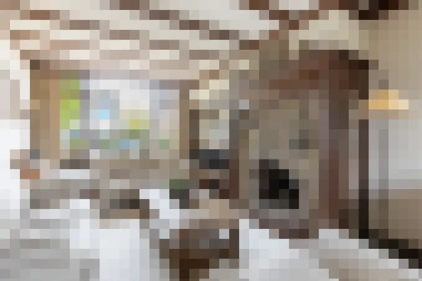 Van der Duin van Maasdamlaan 16 Woudenberg thumbnail 14