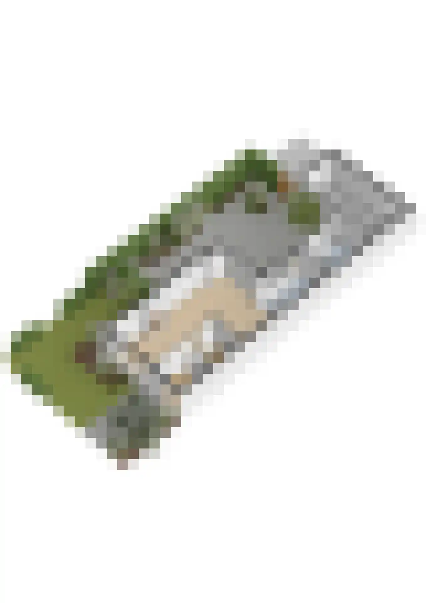 Van der Duin van Maasdamlaan 16 Woudenberg thumbnail 46