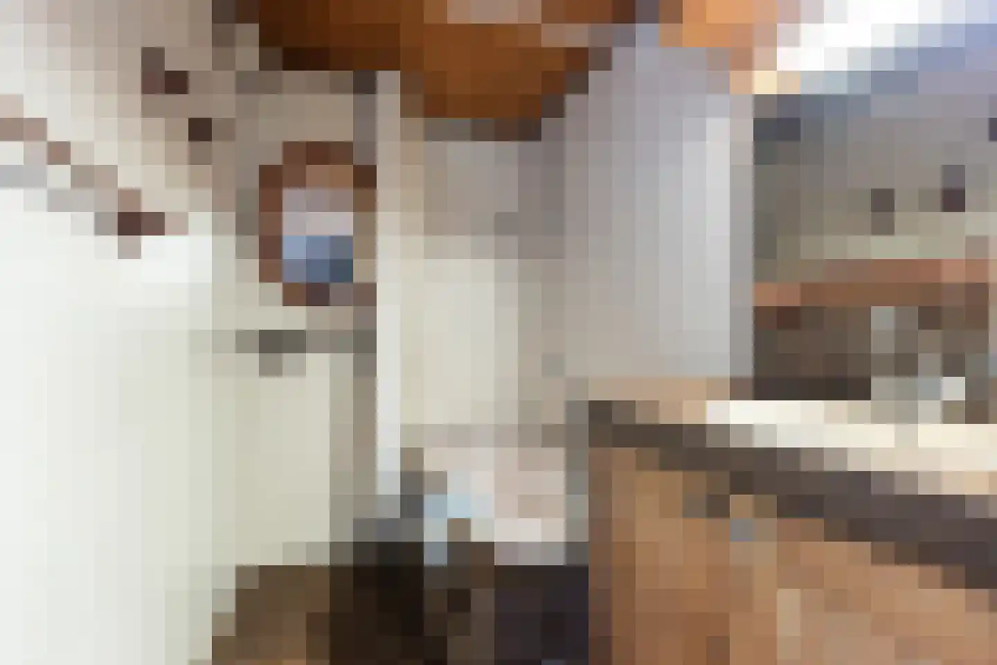 Van der Duin van Maasdamlaan 16 Woudenberg thumbnail 5