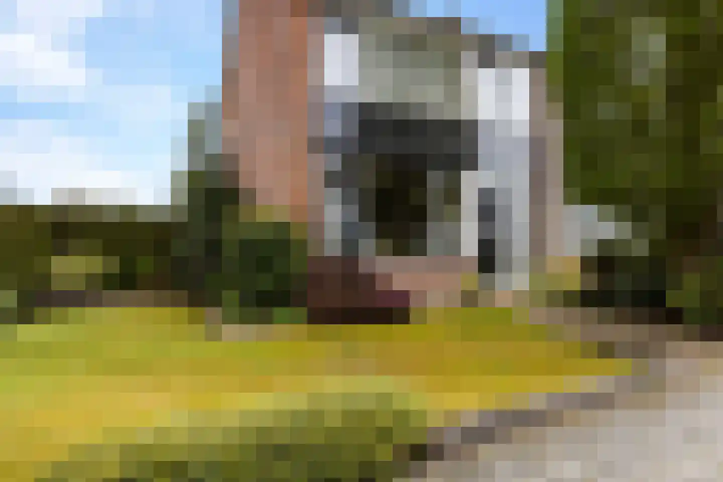 Van der Duin van Maasdamlaan 16 Woudenberg thumbnail 8