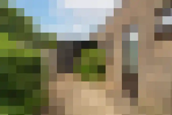 van der Duinstraat 30 Sprang-Capelle thumbnail 32