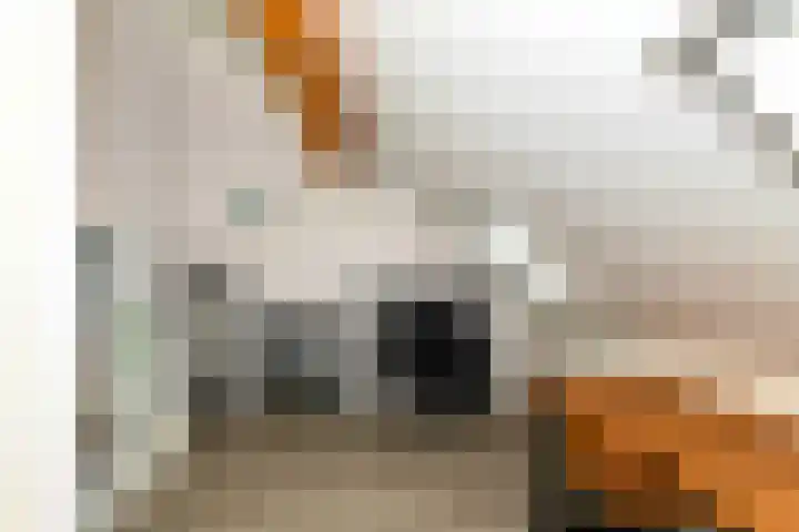van der Duinstraat 30 Sprang-Capelle thumbnail 5