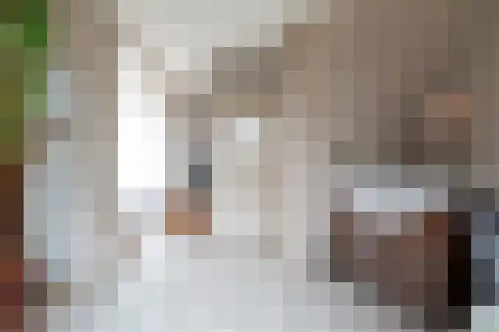 van der Duinstraat 30 Sprang-Capelle thumbnail 7