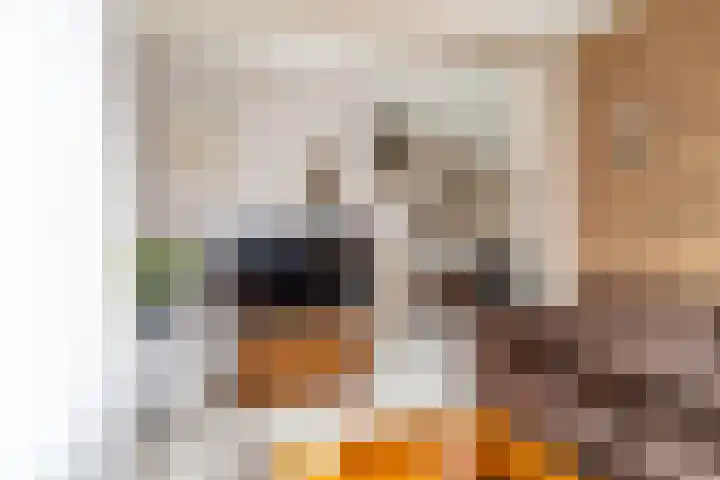 van der Duinstraat 30 Sprang-Capelle thumbnail 8
