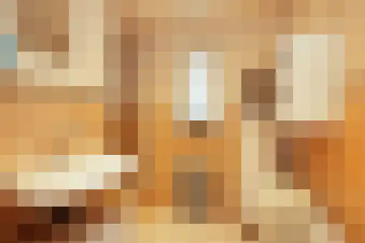 van der Duinstraat 37 Sprang-Capelle thumbnail 18