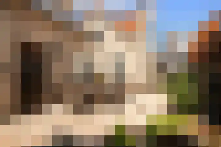 van der Duinstraat 37 Sprang-Capelle thumbnail 21