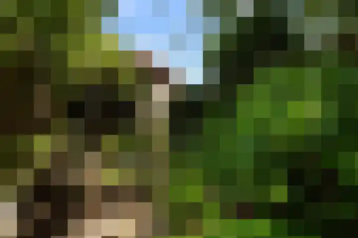 van der Duinstraat 37 Sprang-Capelle thumbnail 24