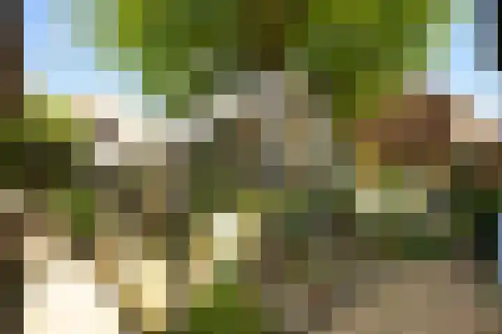 van der Duinstraat 37 Sprang-Capelle thumbnail 25