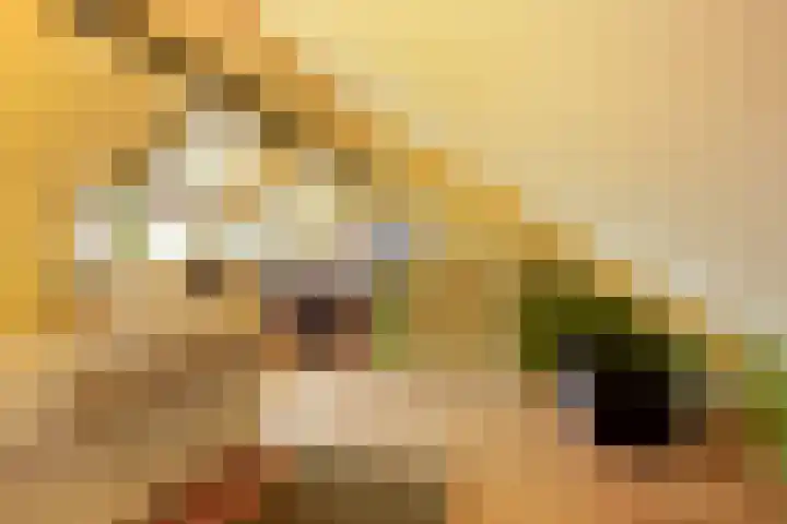 van der Duinstraat 37 Sprang-Capelle thumbnail 36