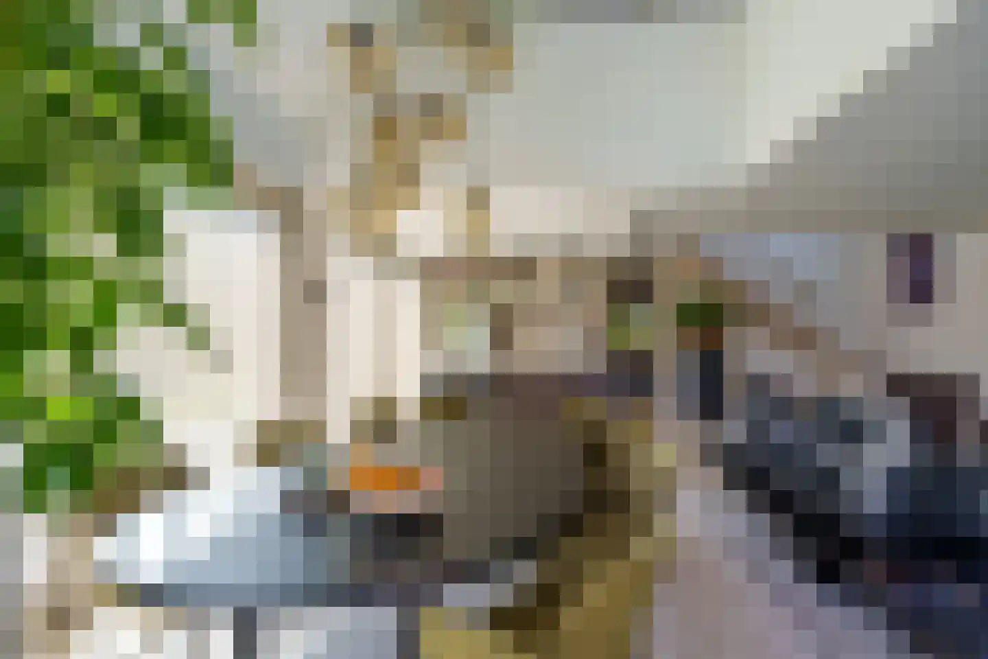 van der Duinstraat 57 A Sprang-Capelle thumbnail 13