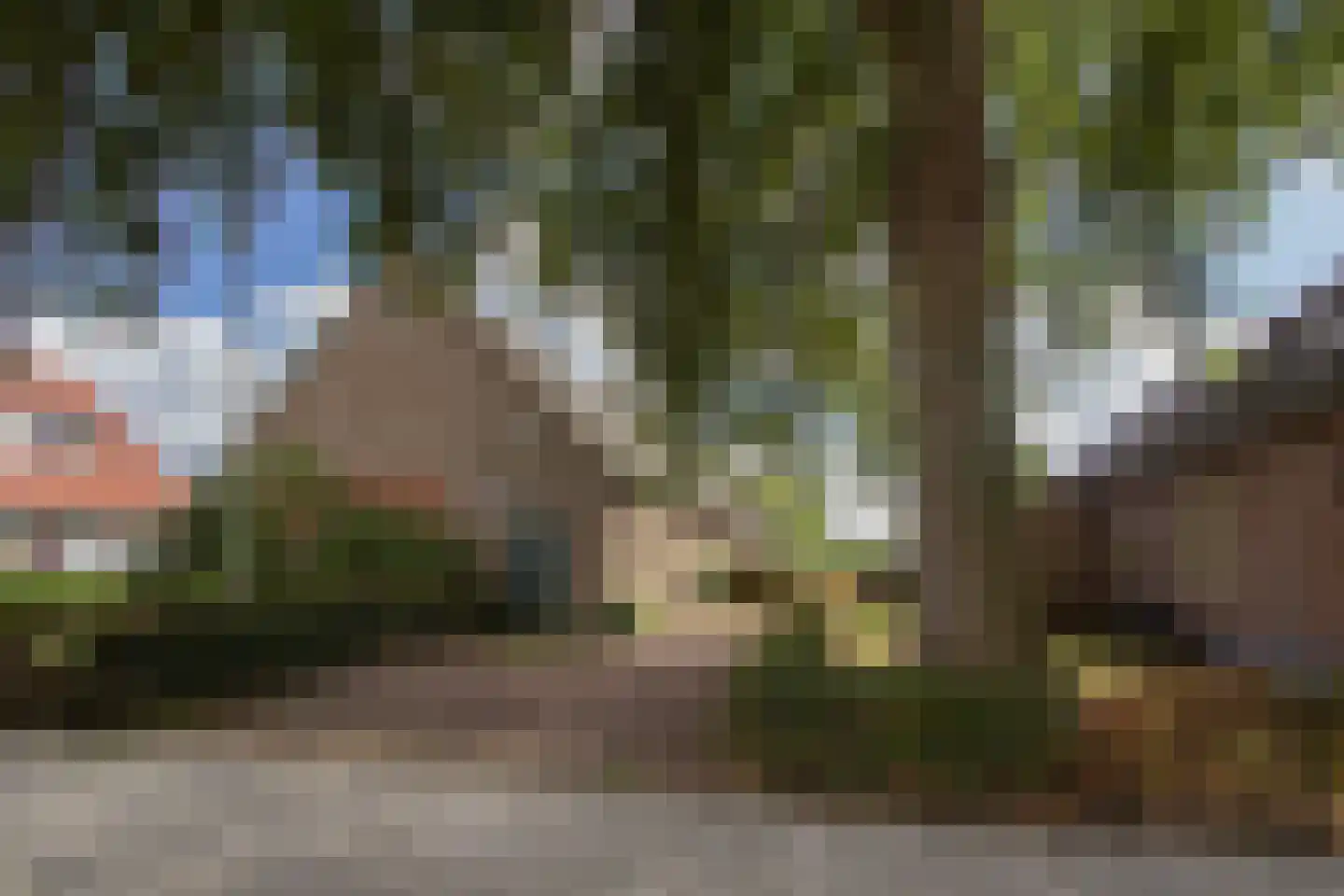van der Duinstraat 57 A Sprang-Capelle thumbnail 4