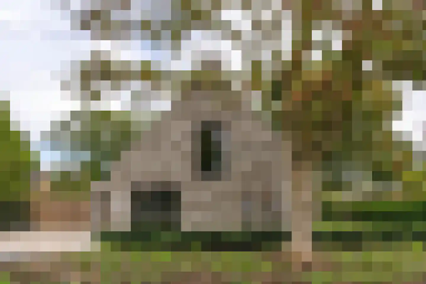 van der Duinstraat 57 A Sprang-Capelle thumbnail 8
