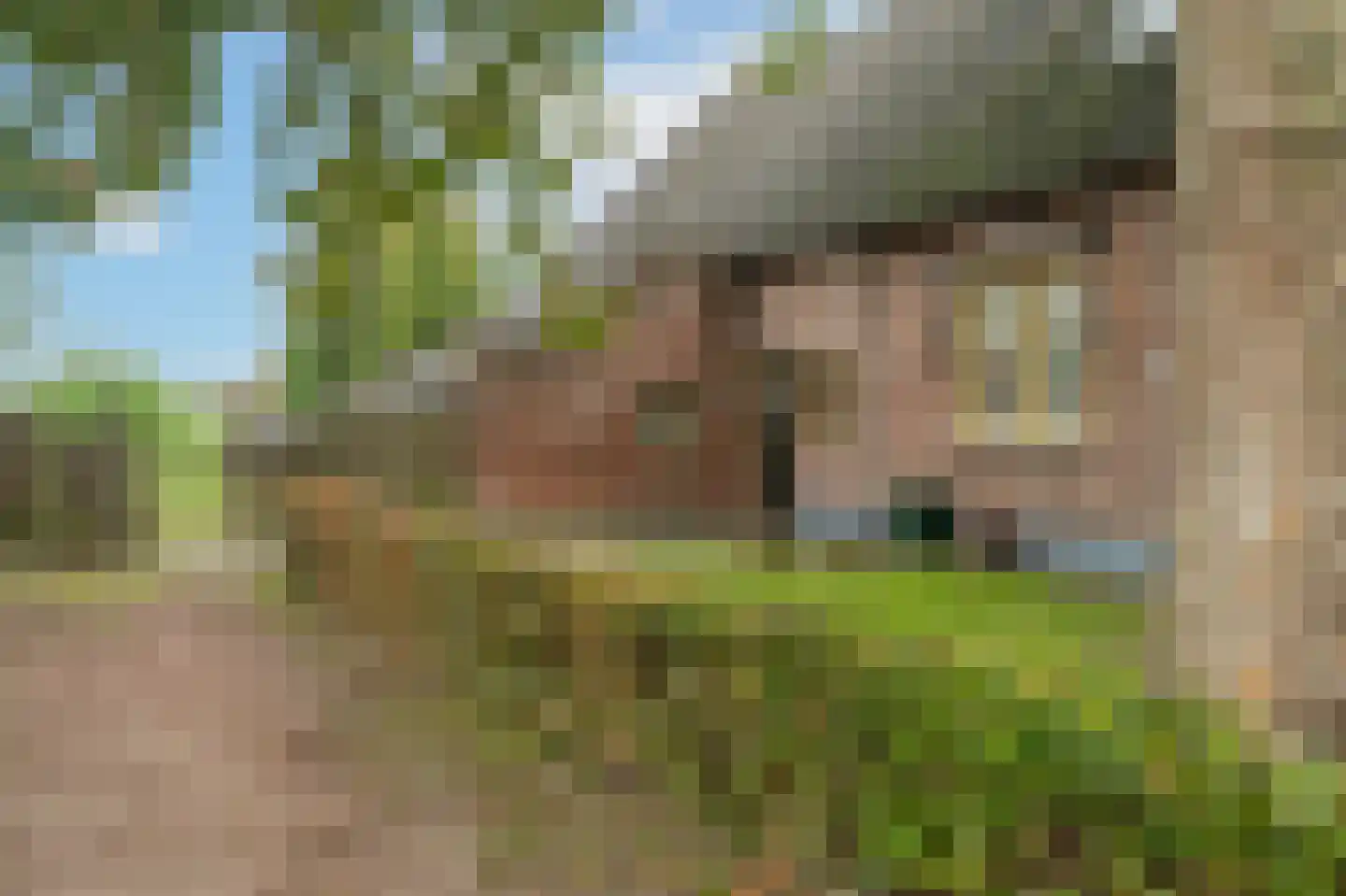 van der Duinstraat 57 Sprang-Capelle thumbnail 10