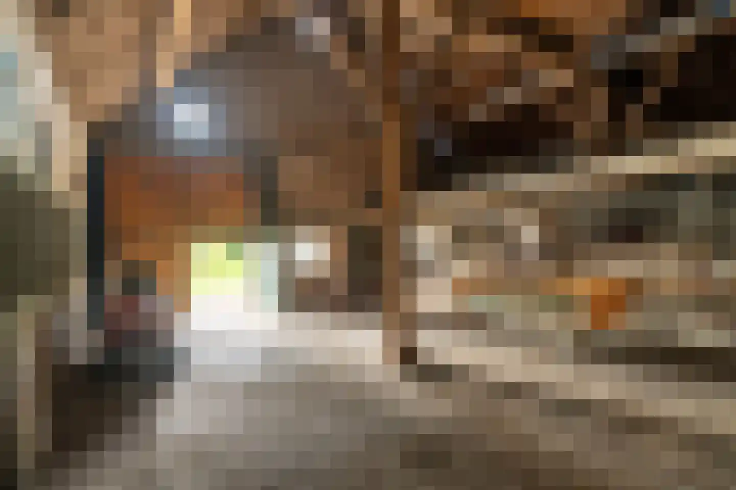 van der Duinstraat 57 Sprang-Capelle thumbnail 25