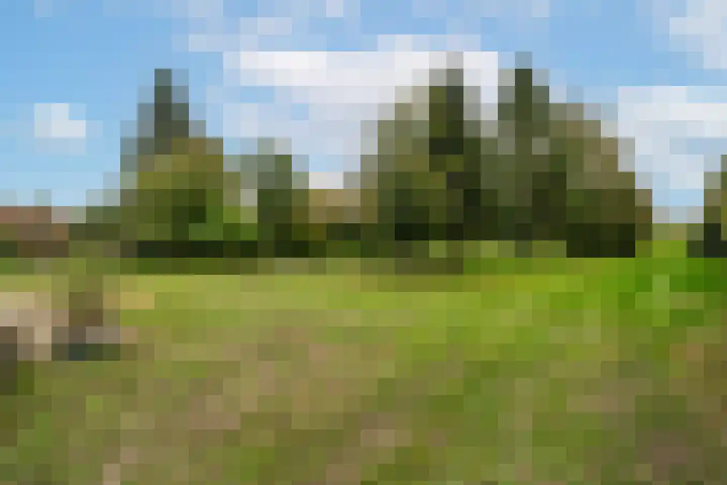 van der Duinstraat 57 Sprang-Capelle thumbnail 4