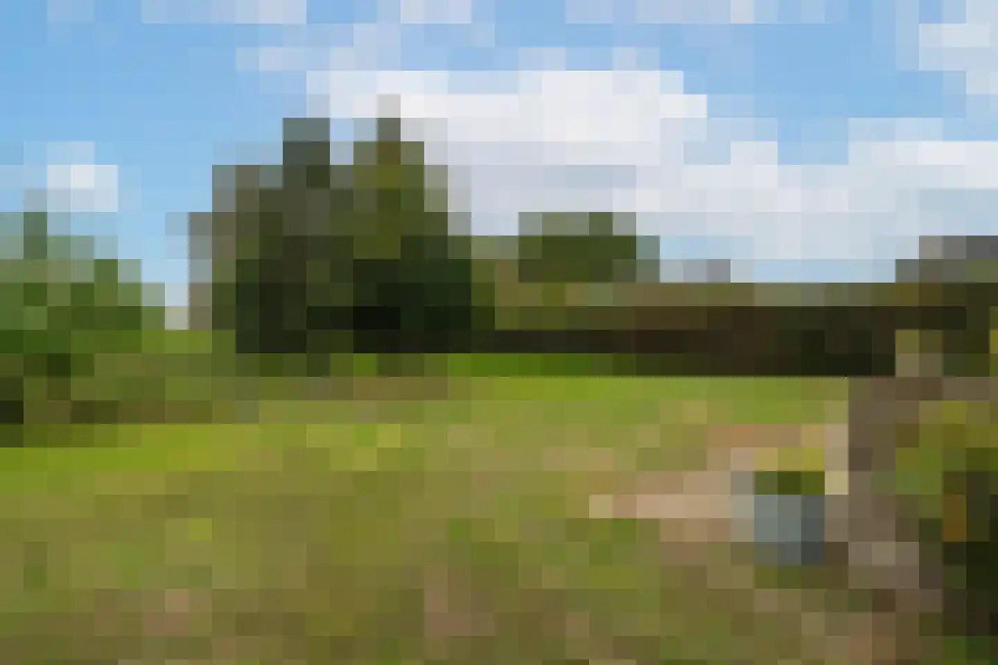van der Duinstraat 57 Sprang-Capelle thumbnail 5