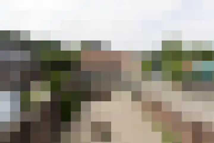 van der Duinstraat 73 Sprang-Capelle thumbnail 7