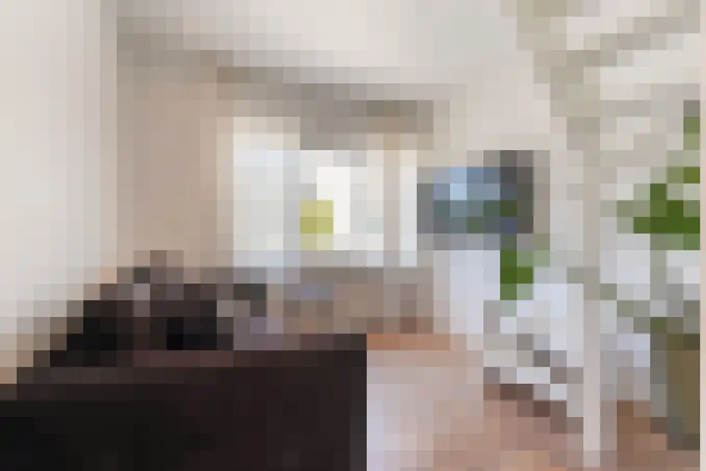 van der Duinstraat 98 Sprang-Capelle thumbnail 34