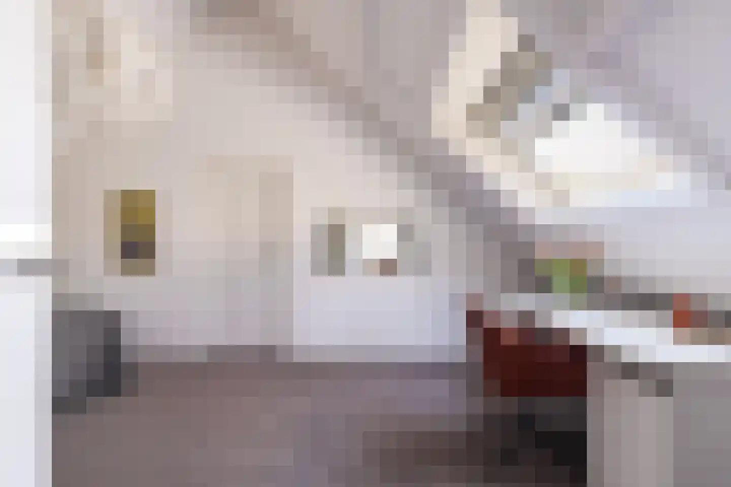 van der Duinstraat 98 Sprang-Capelle thumbnail 45