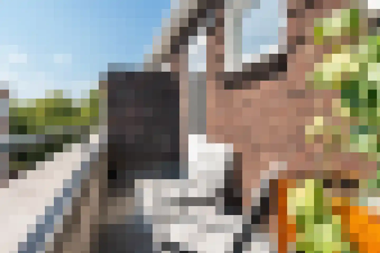 Van der Dussenstraat 15 A 01 Rotterdam thumbnail 36