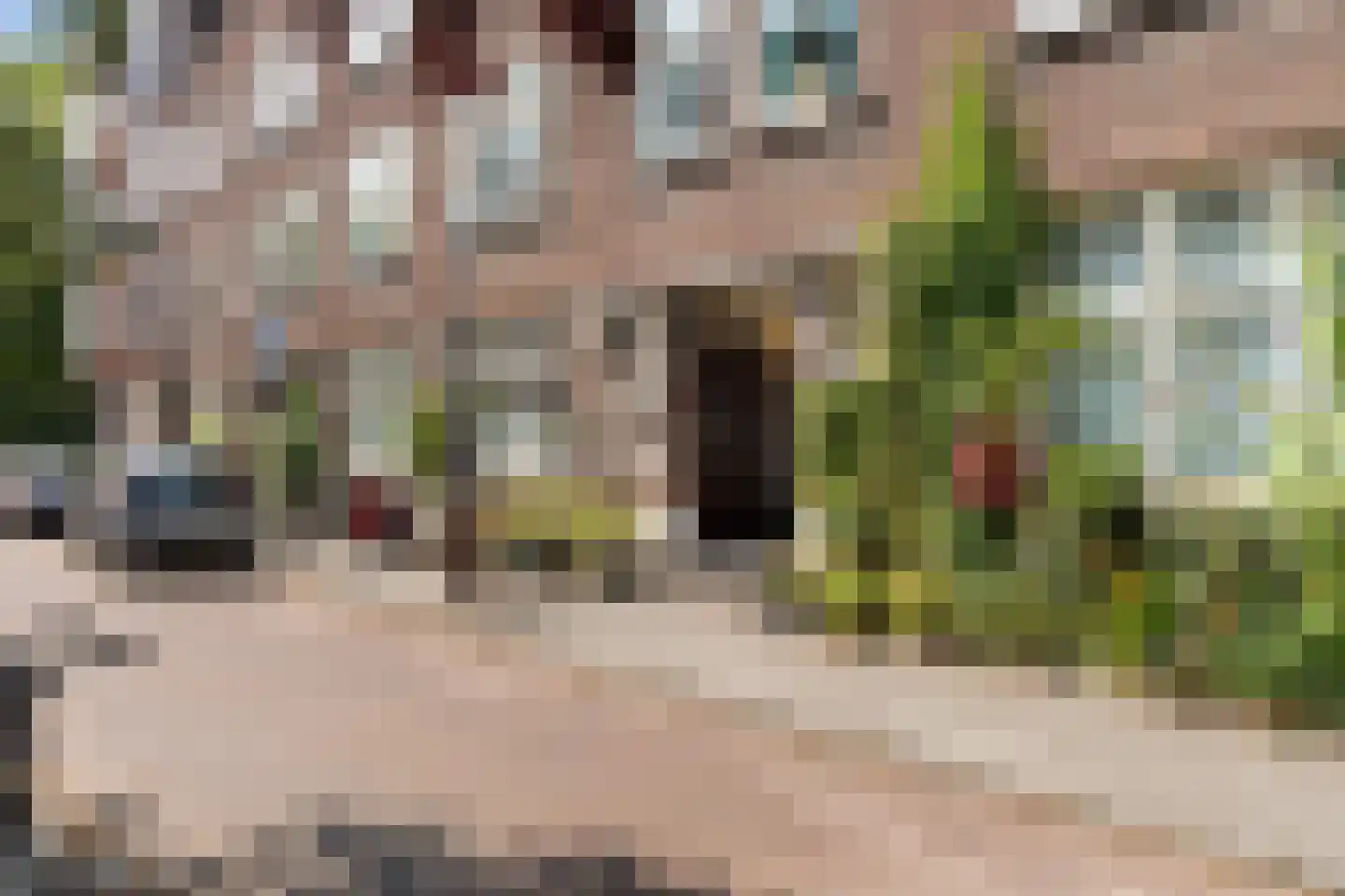 Van der Dussenstraat 15 A 01 Rotterdam thumbnail 38