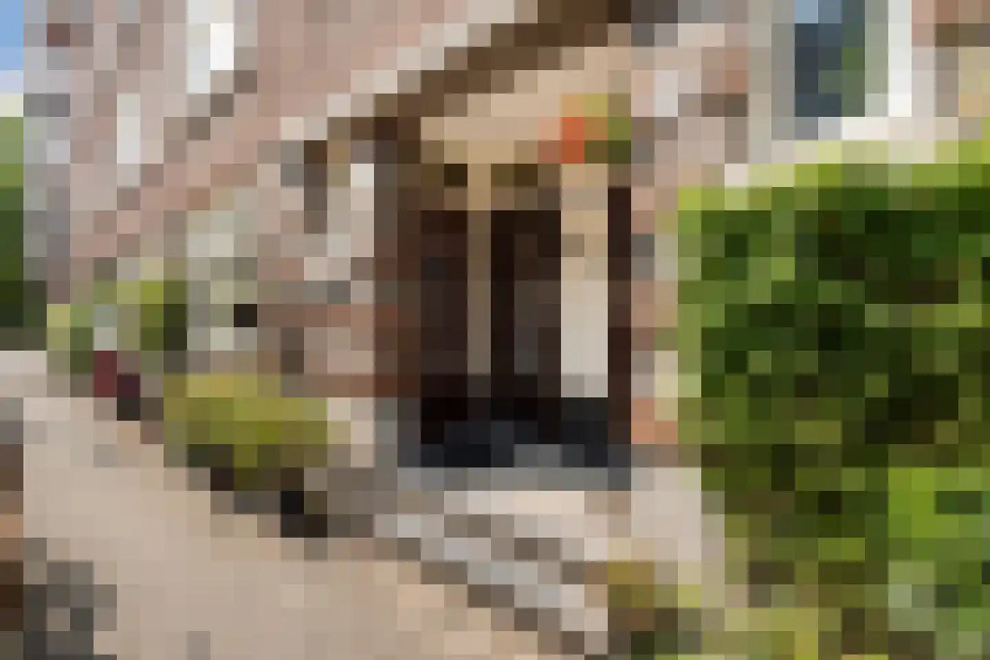 Van der Dussenstraat 15 A 01 Rotterdam thumbnail 41
