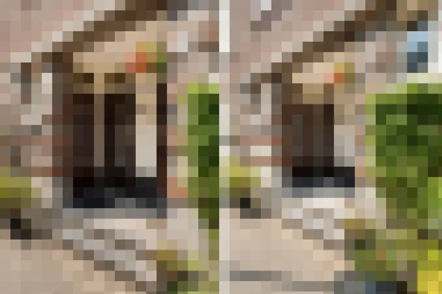 Van der Dussenstraat 15 A 01 Rotterdam thumbnail 42