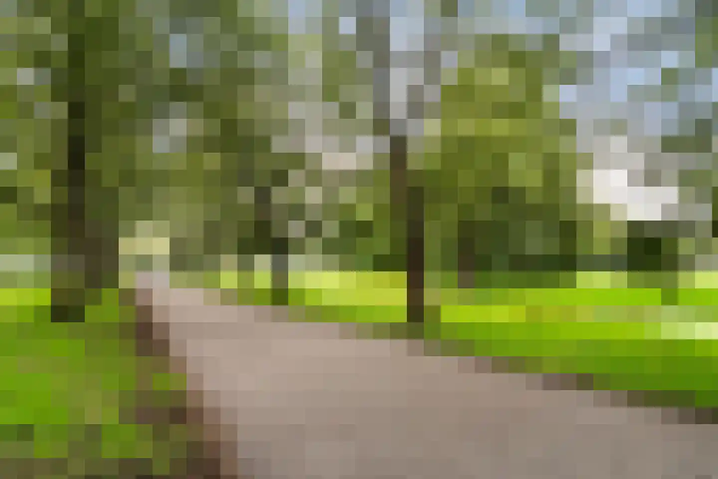 Van der Dussenstraat 16 A 01 Rotterdam thumbnail 39