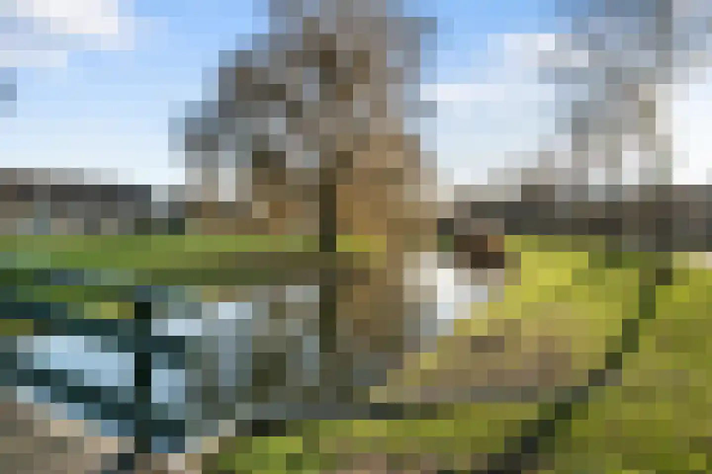 Van der Dussenvliet 57 Barendrecht thumbnail 32