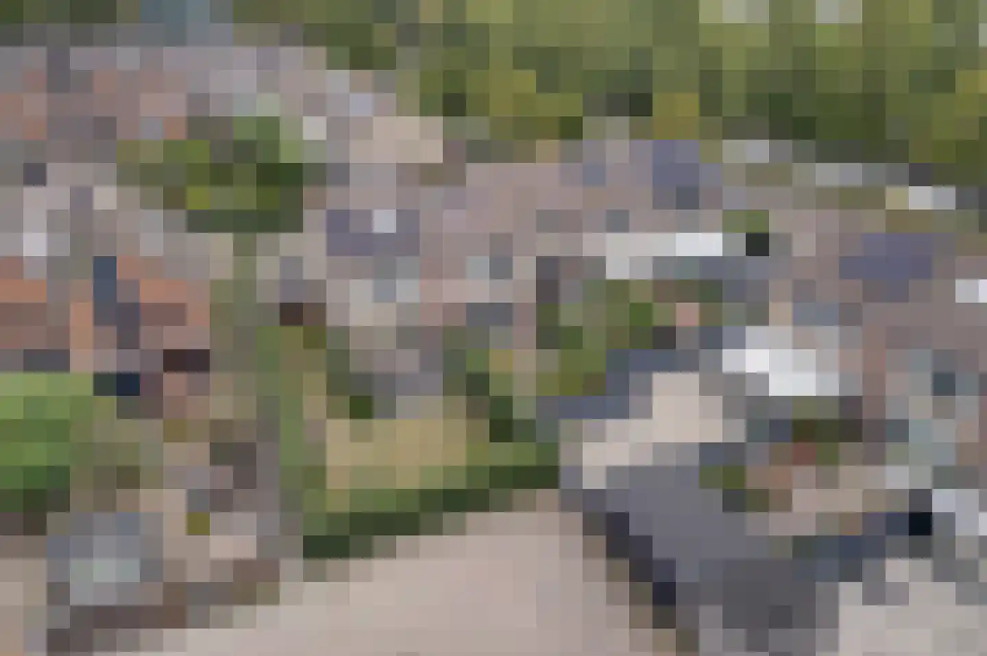 van der Duyn v Maasdamwg 212 Hoogezand thumbnail 5
