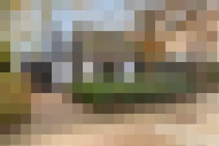 Van der Duyn van Maasdamlaan 10 en Maasdam