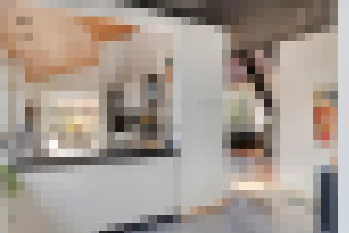 Van der Duyn van Maasdamlaan 10 Maasdam thumbnail 19