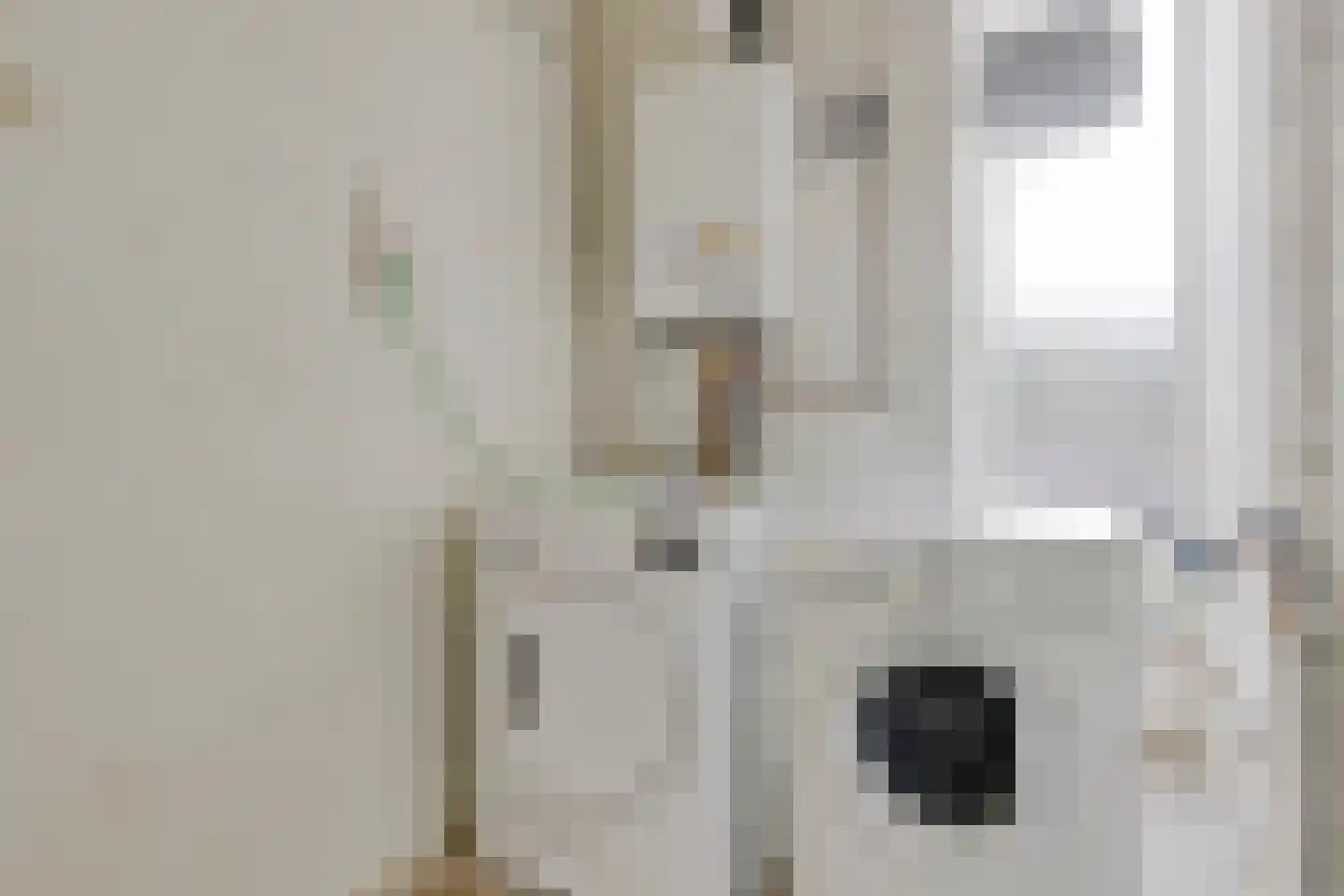 Van der Duyn van Maasdamlaan 10 Maasdam thumbnail 30