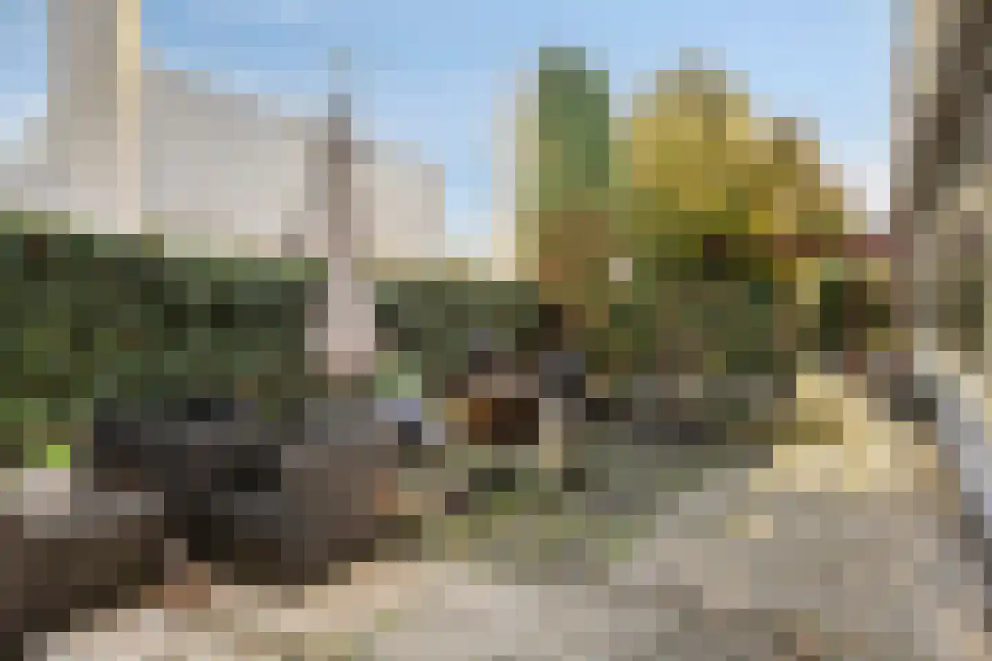 Van der Duyn van Maasdamlaan 10 Maasdam thumbnail 40