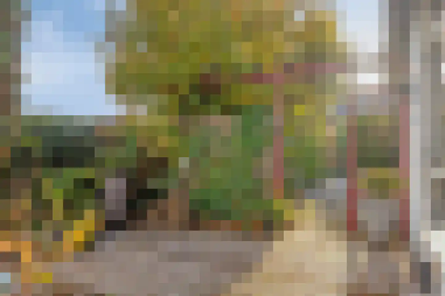 Van der Duyn van Maasdamlaan 10 Maasdam thumbnail 43