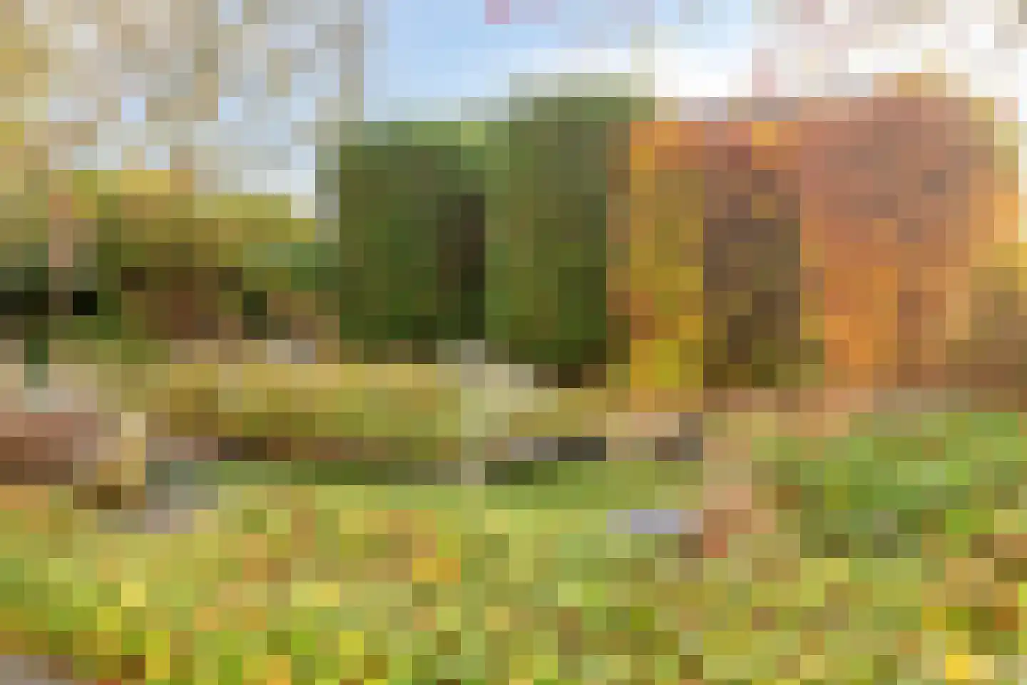 Van der Duyn van Maasdamlaan 10 Maasdam thumbnail 48