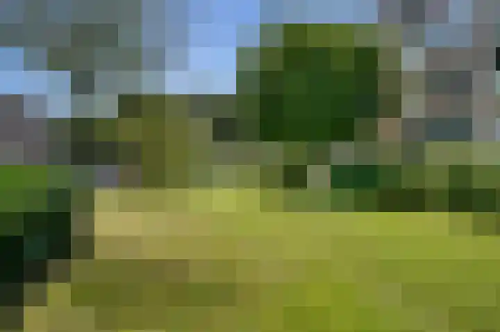 van der Duyn van Maasdamlaan 102 B Vlaardingen thumbnail 11