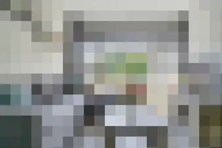 van der Duyn van Maasdamlaan 102 B Vlaardingen thumbnail 15