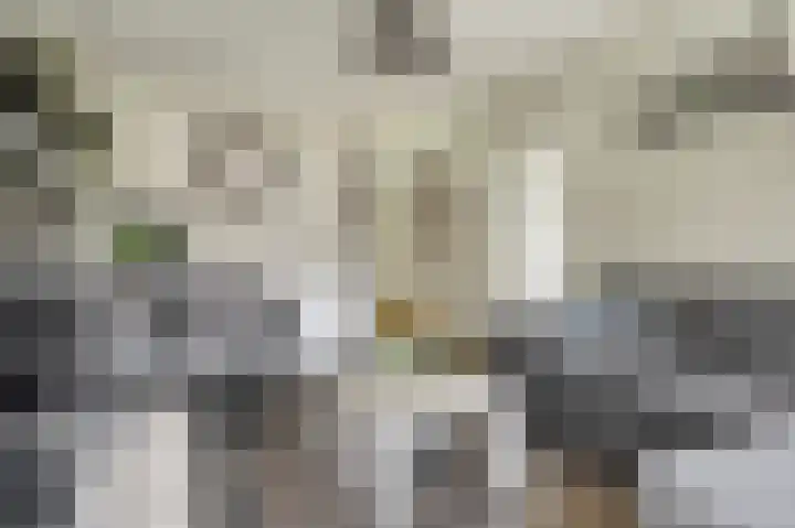 van der Duyn van Maasdamlaan 102 B Vlaardingen thumbnail 17