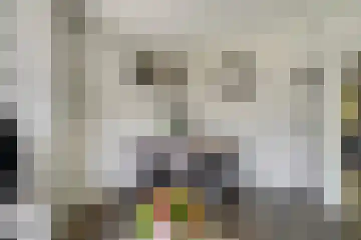 van der Duyn van Maasdamlaan 102 B Vlaardingen thumbnail 18