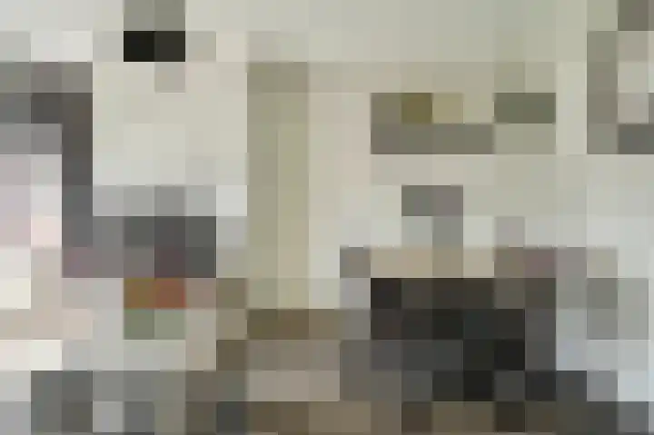 van der Duyn van Maasdamlaan 102 B Vlaardingen thumbnail 19