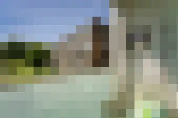 van der Duyn van Maasdamlaan 102 B Vlaardingen thumbnail 22