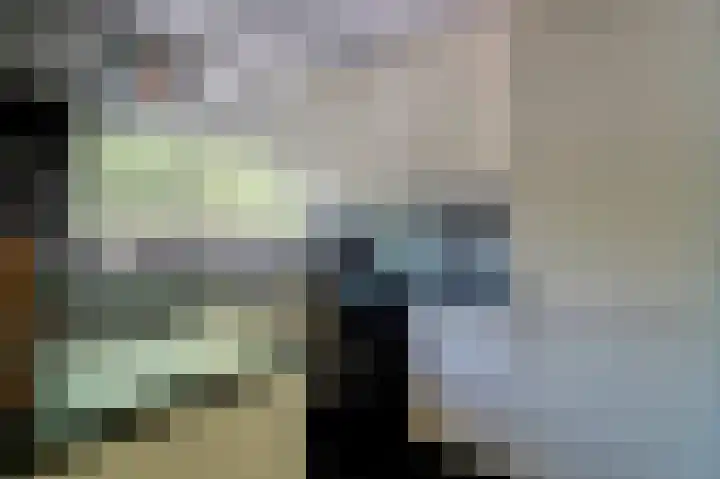 van der Duyn van Maasdamlaan 102 B Vlaardingen thumbnail 23