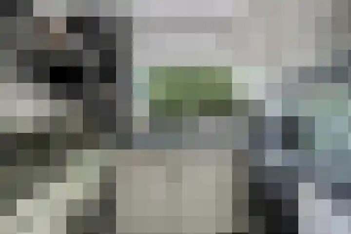 van der Duyn van Maasdamlaan 102 B Vlaardingen thumbnail 24
