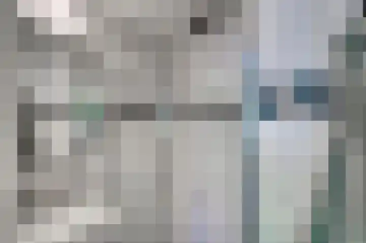van der Duyn van Maasdamlaan 102 B Vlaardingen thumbnail 26