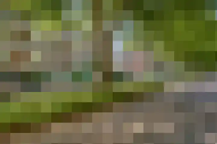 van der Duyn van Maasdamlaan 102 B Vlaardingen thumbnail 6